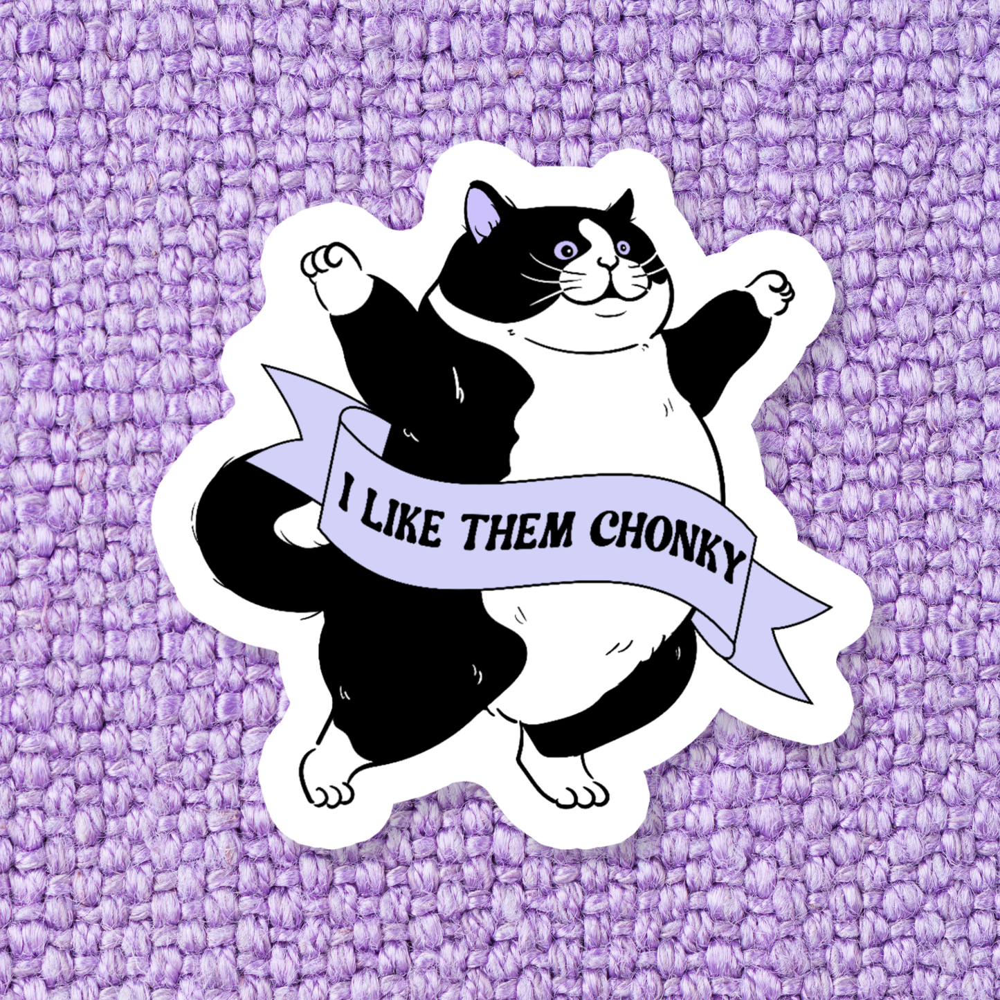 Chonky Cat