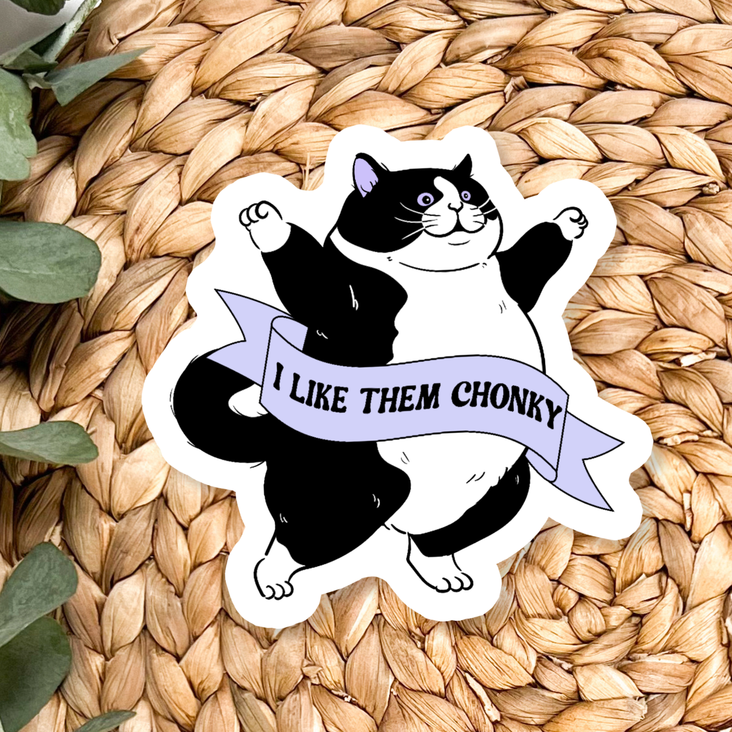 Chonky Cat