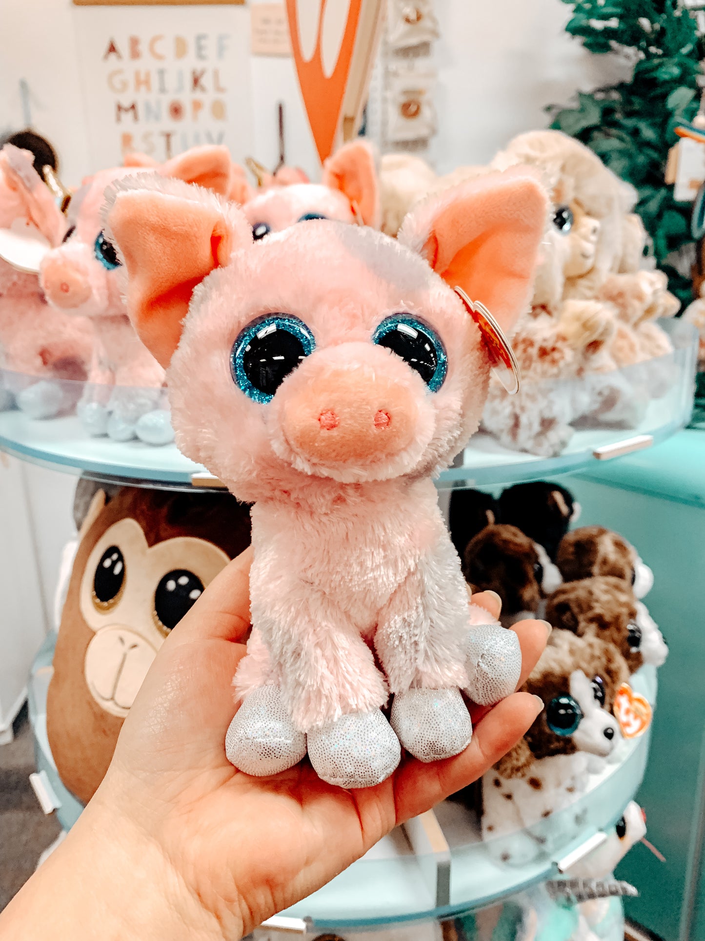 Hambone the TY Pig