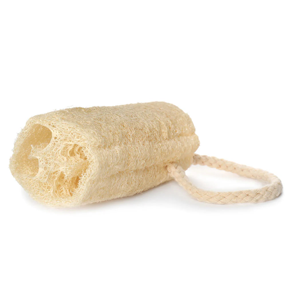 Loofa Sponge