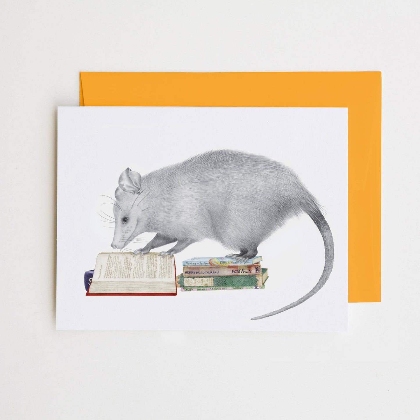Henry Gossamer Opossum Note Card