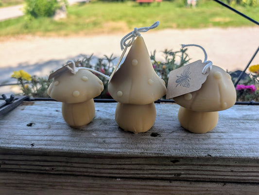 Beeswax Mushroom Candles