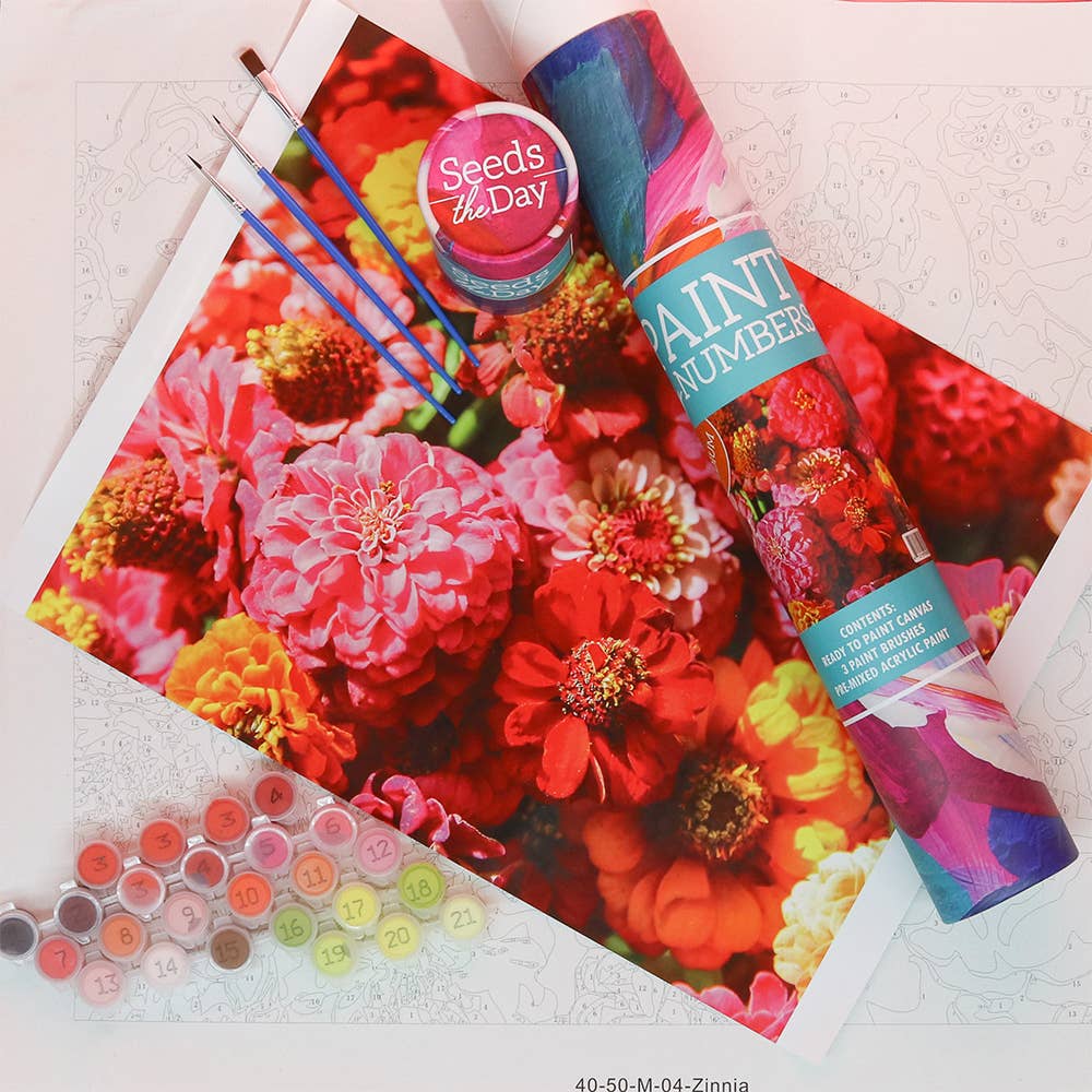 Paint By Number Painting Kits: Zinnia / Medium