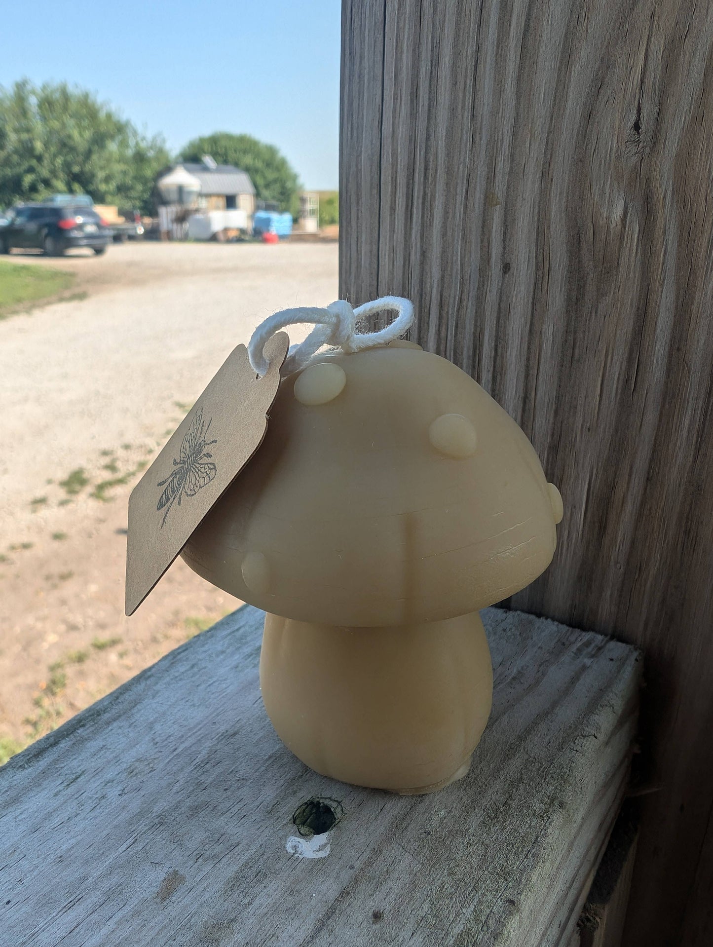 Beeswax Mushroom Candles