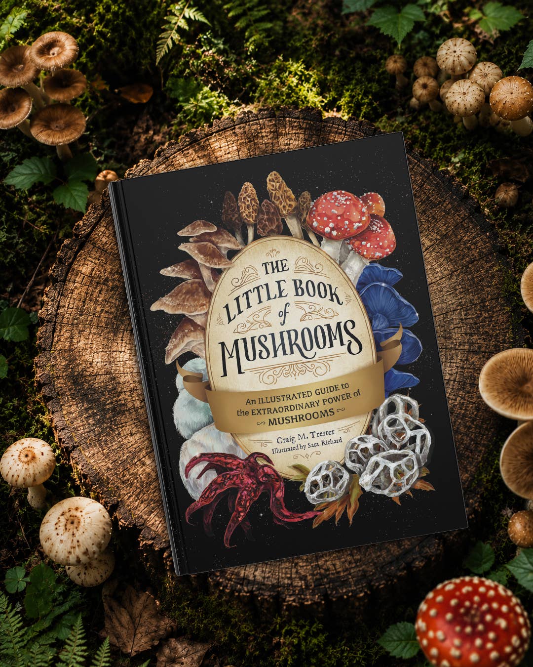 Little Book of Mushrooms by Alex Dorr
