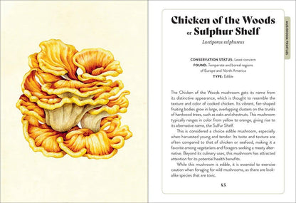 Mushroom Miscellany: Adele Nozedar