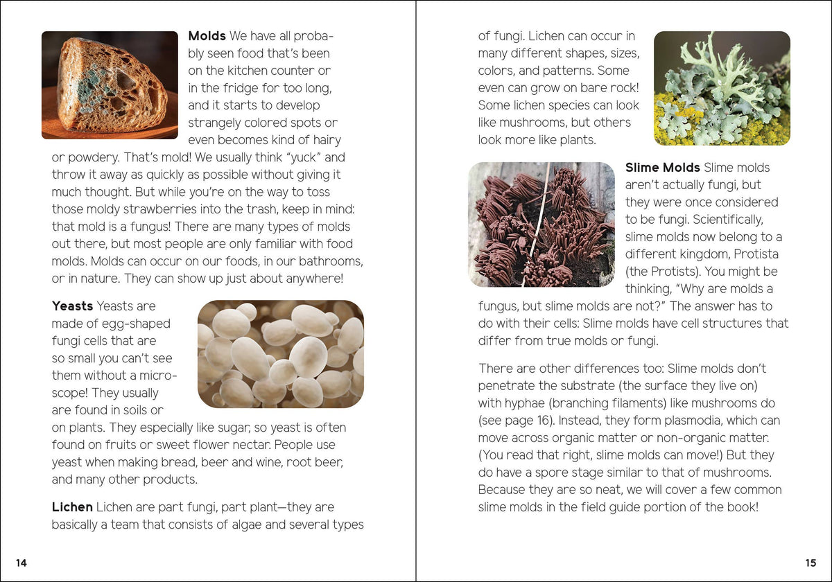 Mushrooms & Fungi for Kids