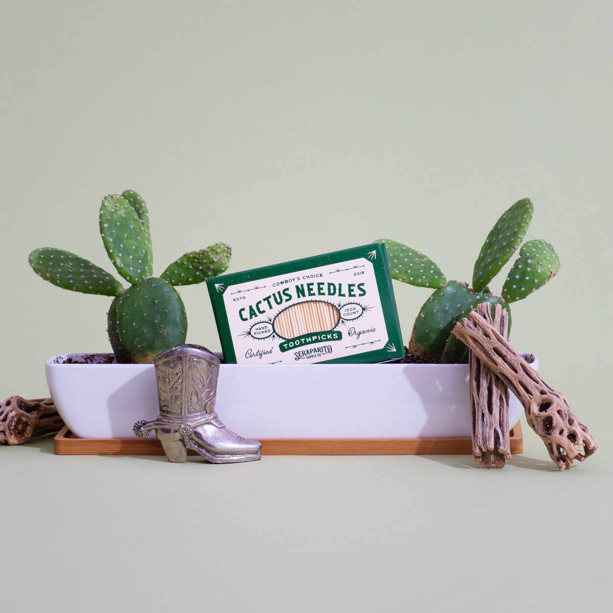 Cactus Needle Toothpicks