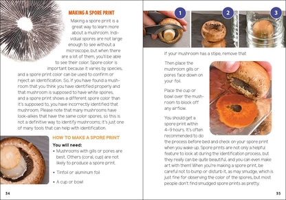 Mushrooms & Fungi for Kids