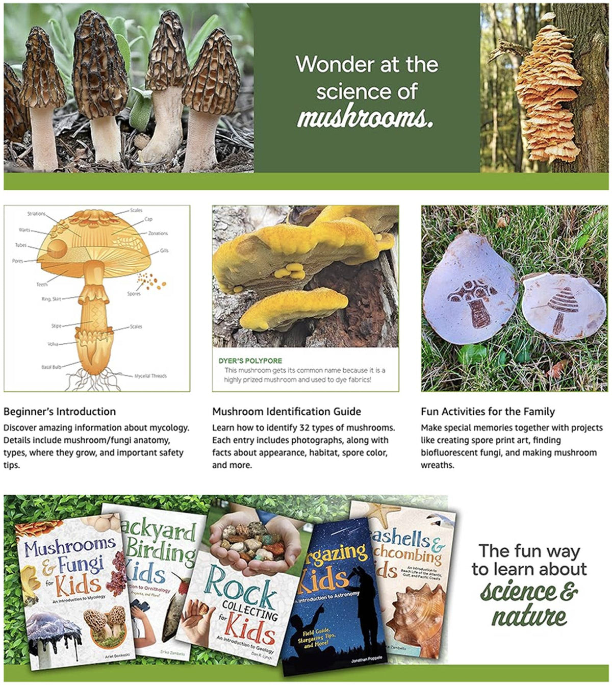 Mushrooms & Fungi for Kids