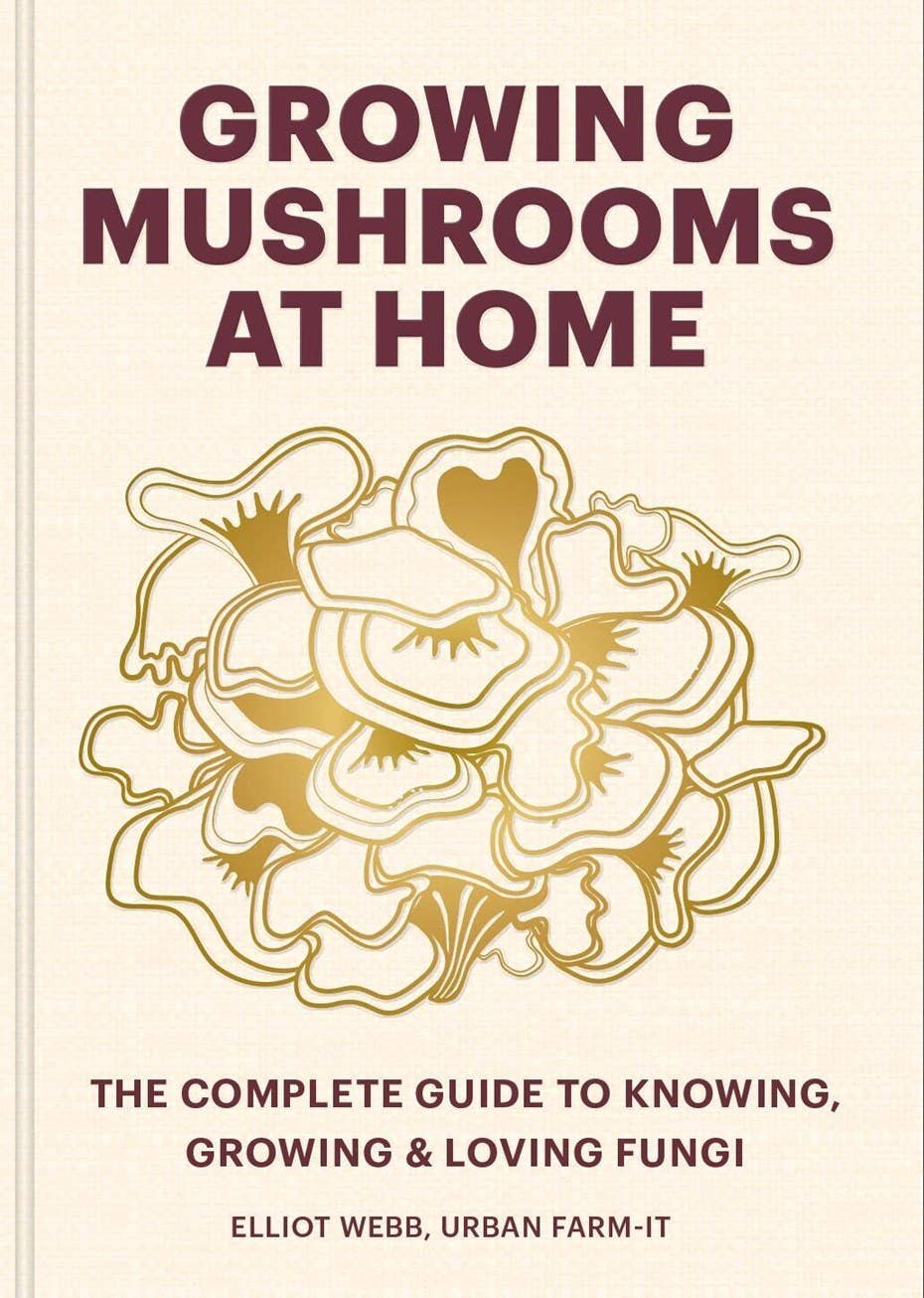 Growing Mushrooms at Home