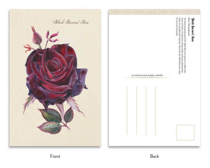 Goth Garden: Dark Blooms by Felicia Feaster