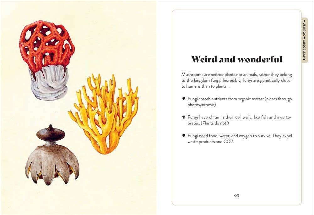 Mushroom Miscellany: Adele Nozedar