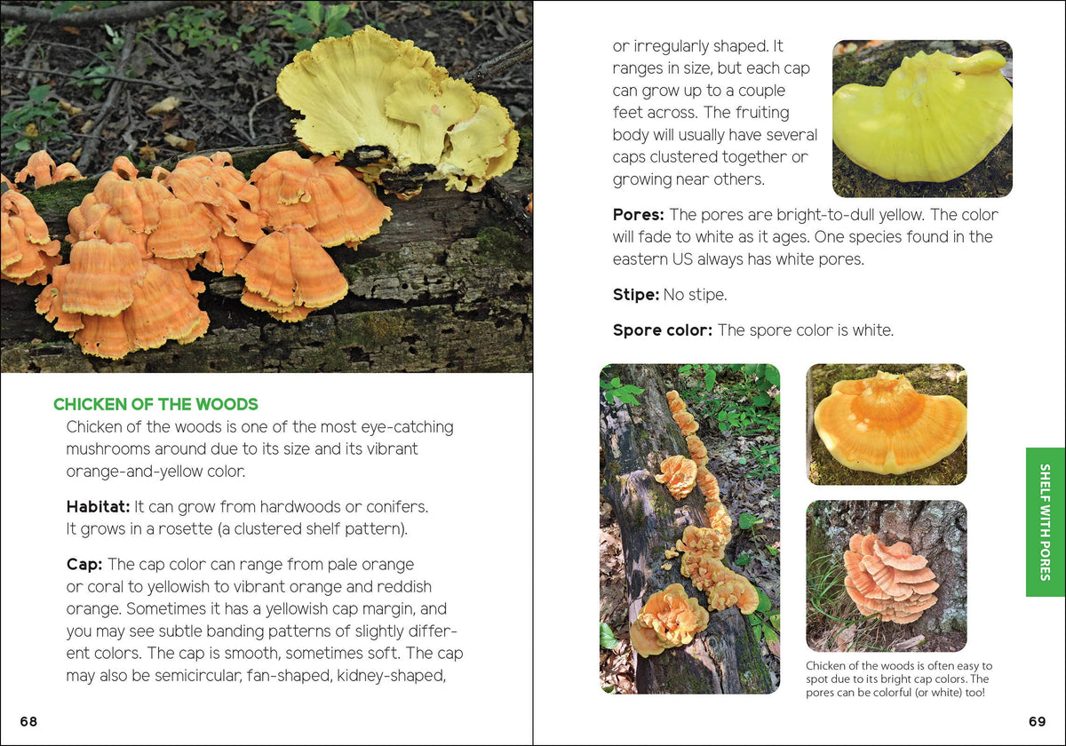 Mushrooms & Fungi for Kids