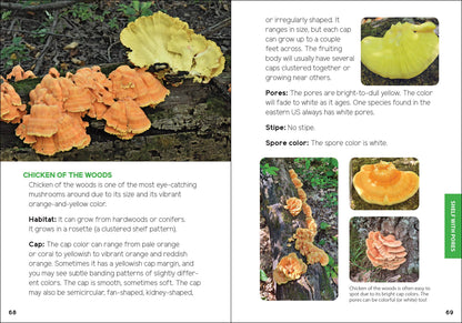 Mushrooms & Fungi for Kids