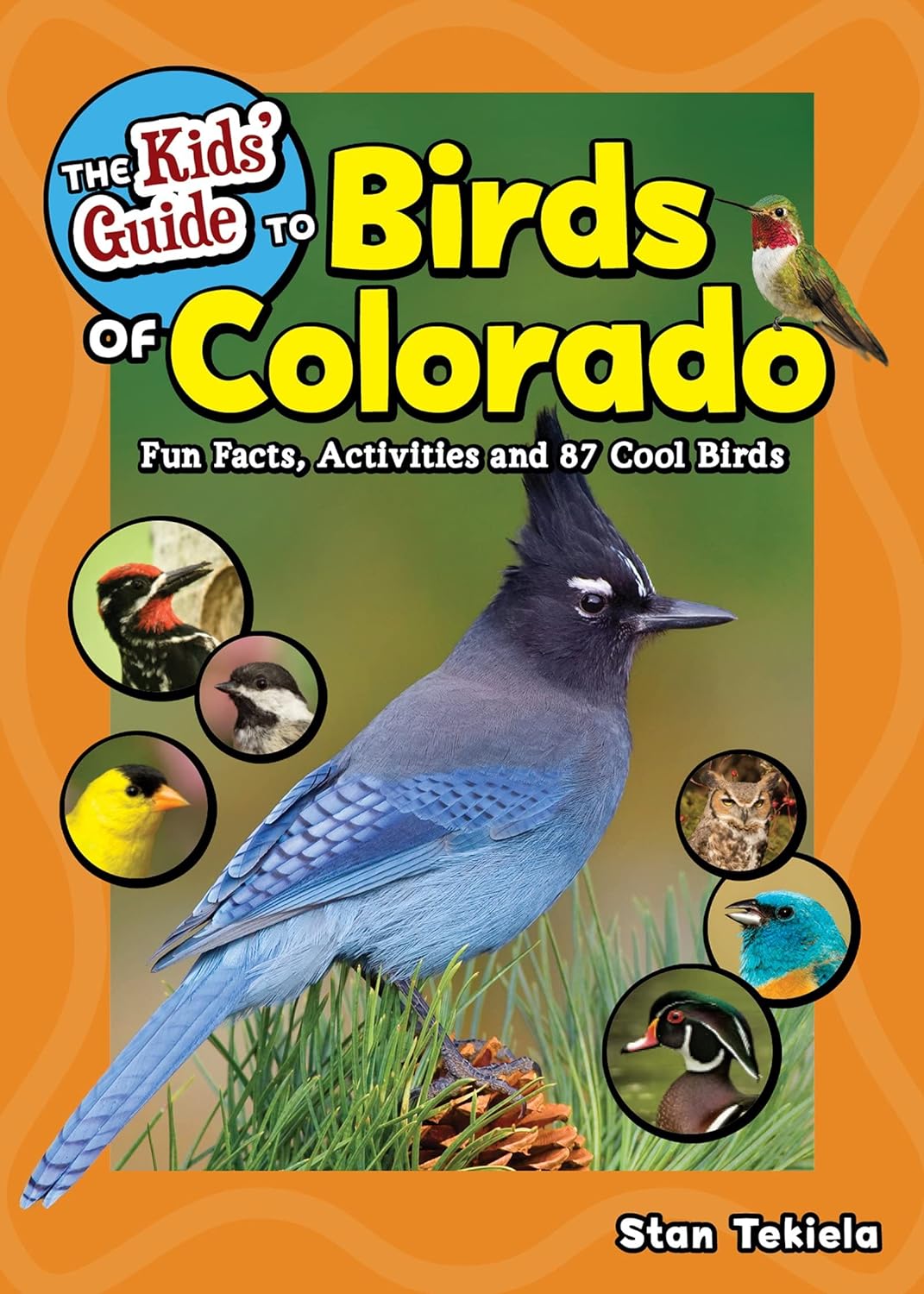 Kids' guide to Birds of Colorado
