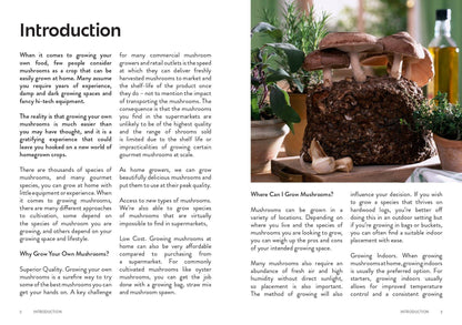 Growing Mushrooms at Home