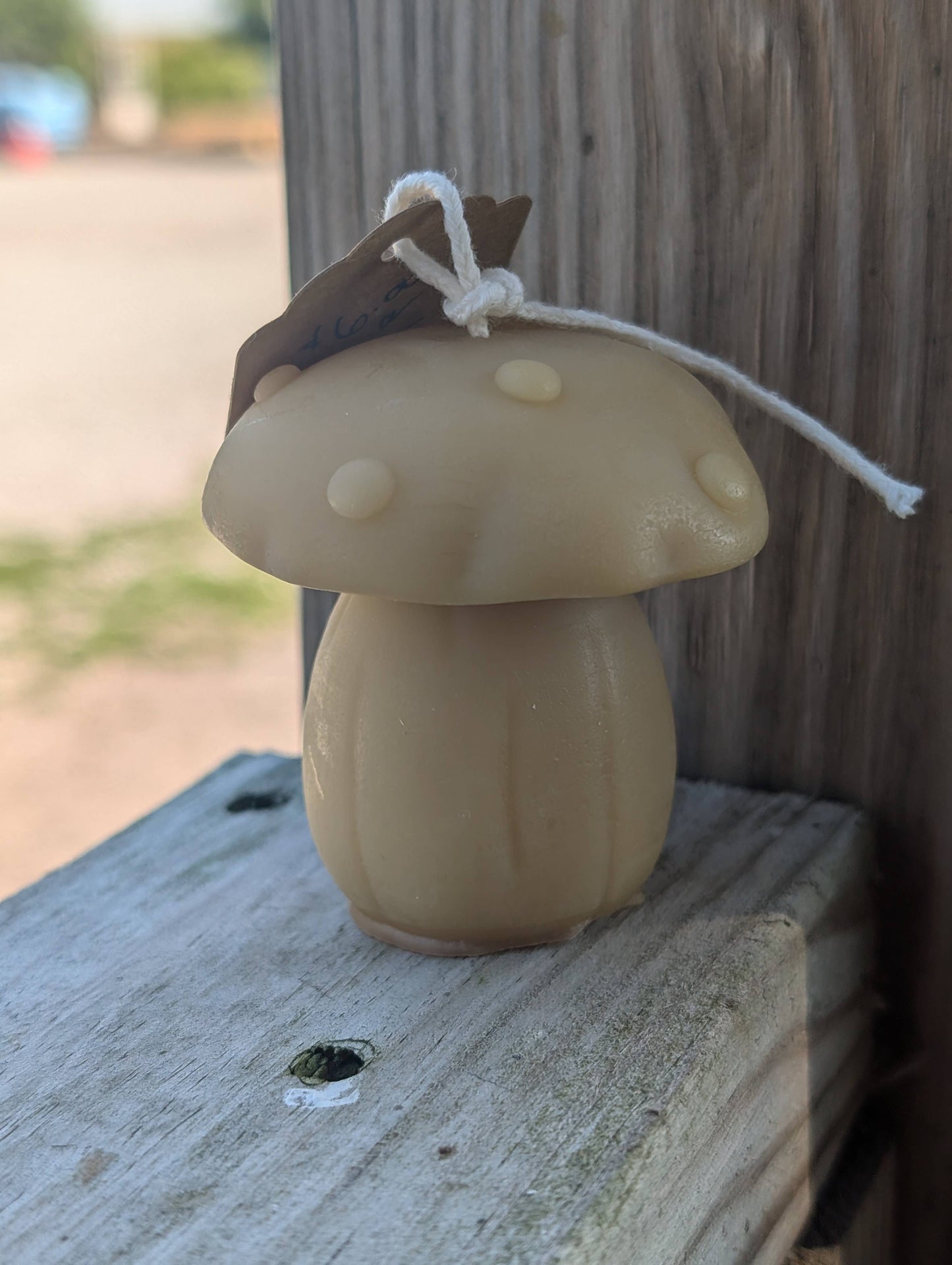 Beeswax Mushroom Candles