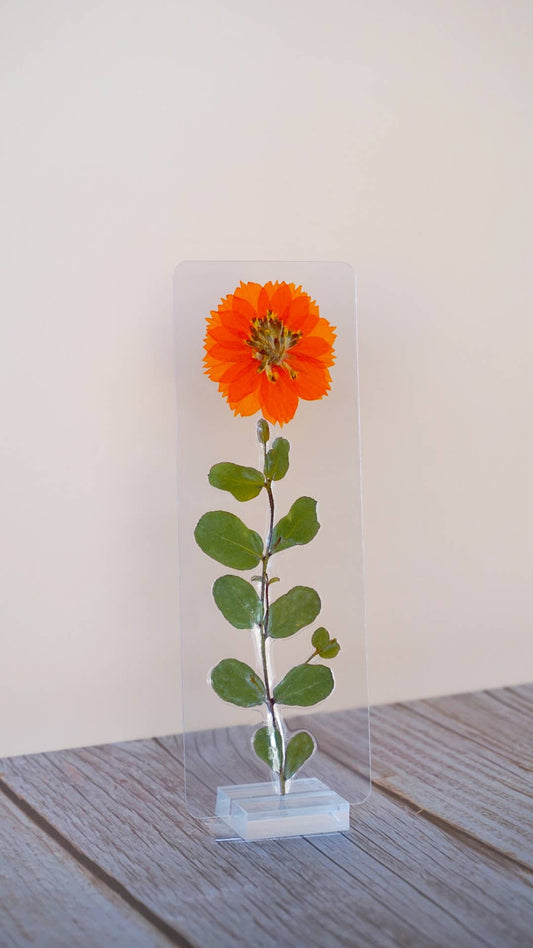 Aelin Galathynius Bookmark