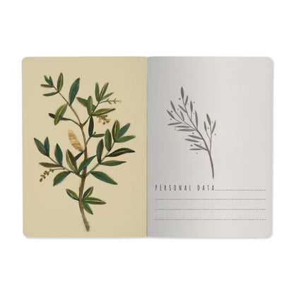 Olive Notebook