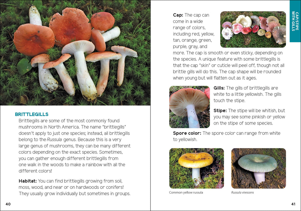Mushrooms & Fungi for Kids