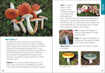 Mushrooms & Fungi for Kids