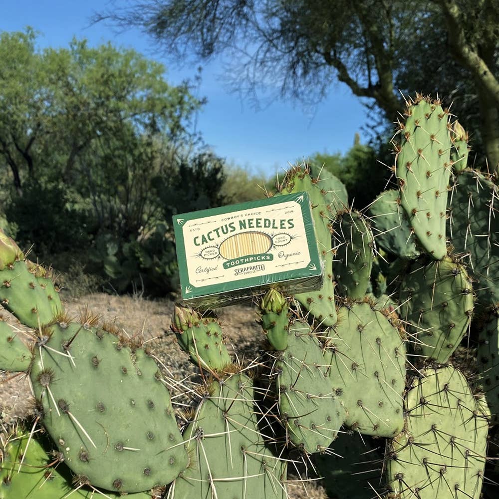 Cactus Needle Toothpicks