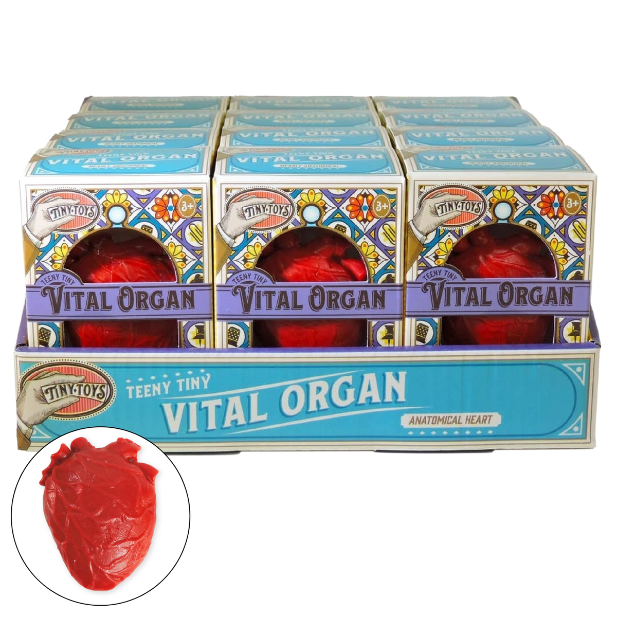 Tiny Toys - Teeny Tiny Vital Orgal