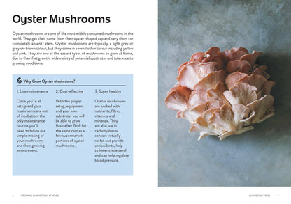 Growing Mushrooms at Home