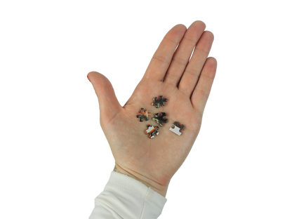 Itty Bitty Petite Puzzles