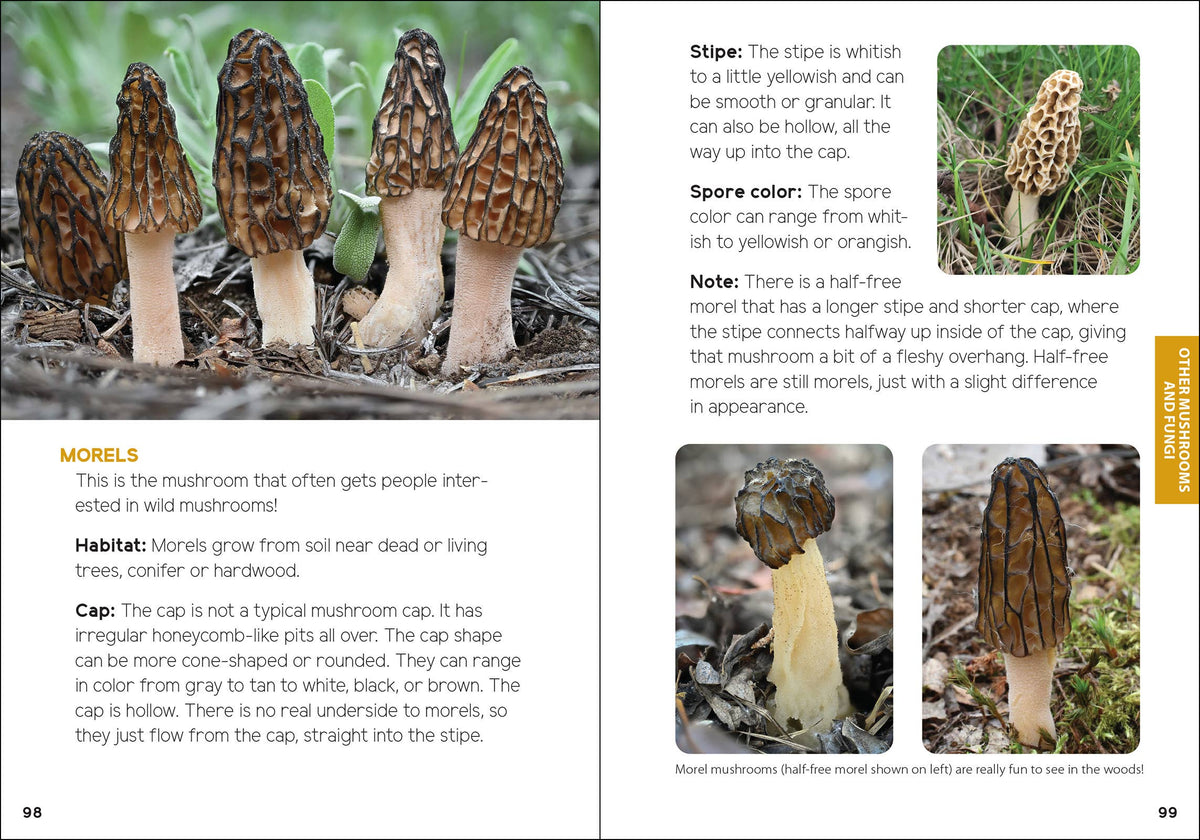 Mushrooms & Fungi for Kids