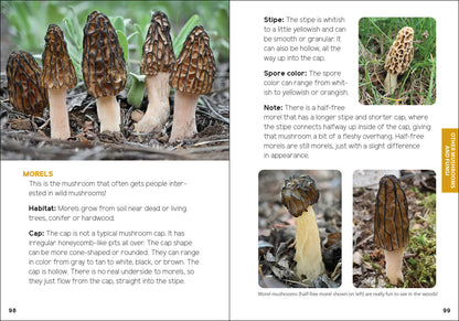 Mushrooms & Fungi for Kids