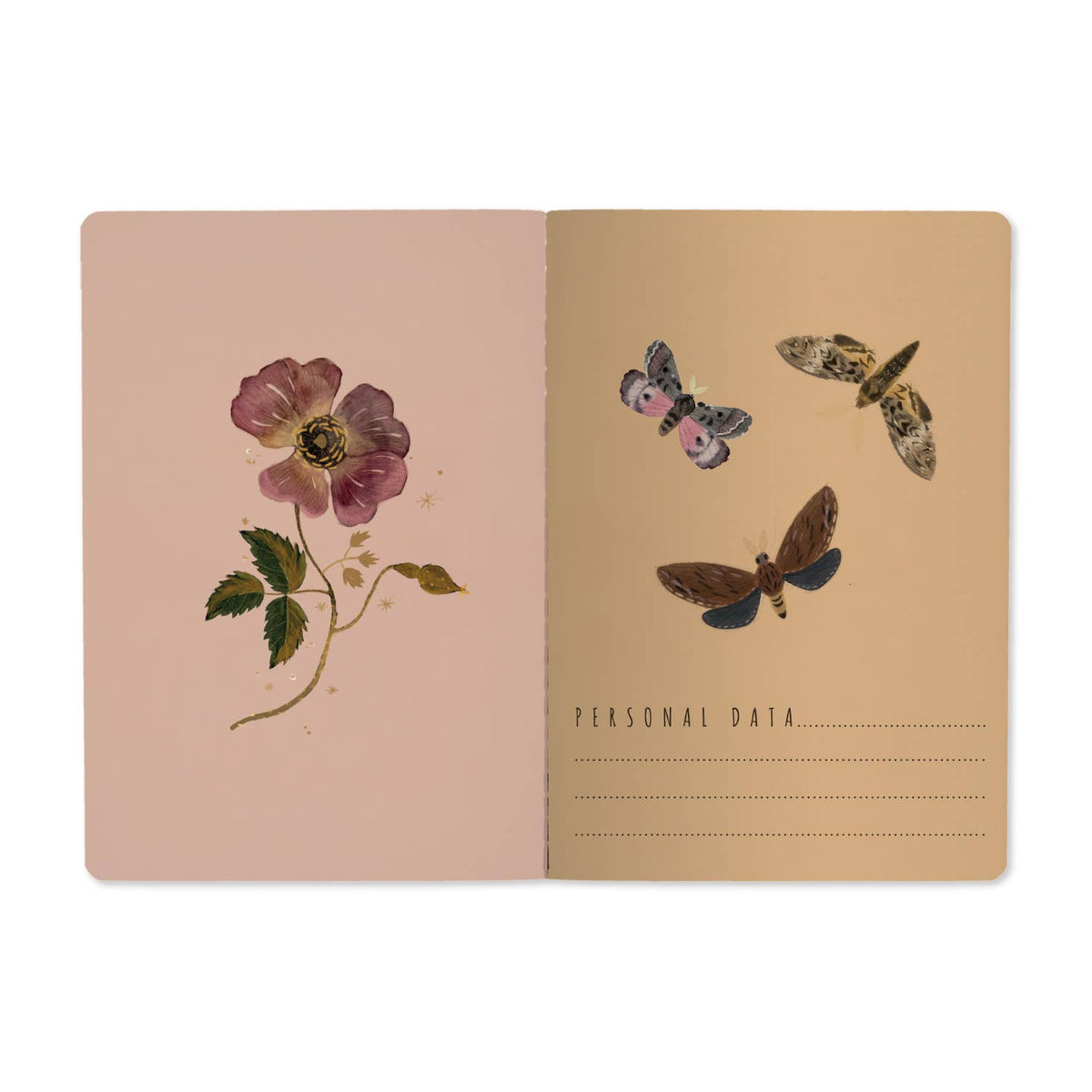 Butterflies and Night Flowers Notebook