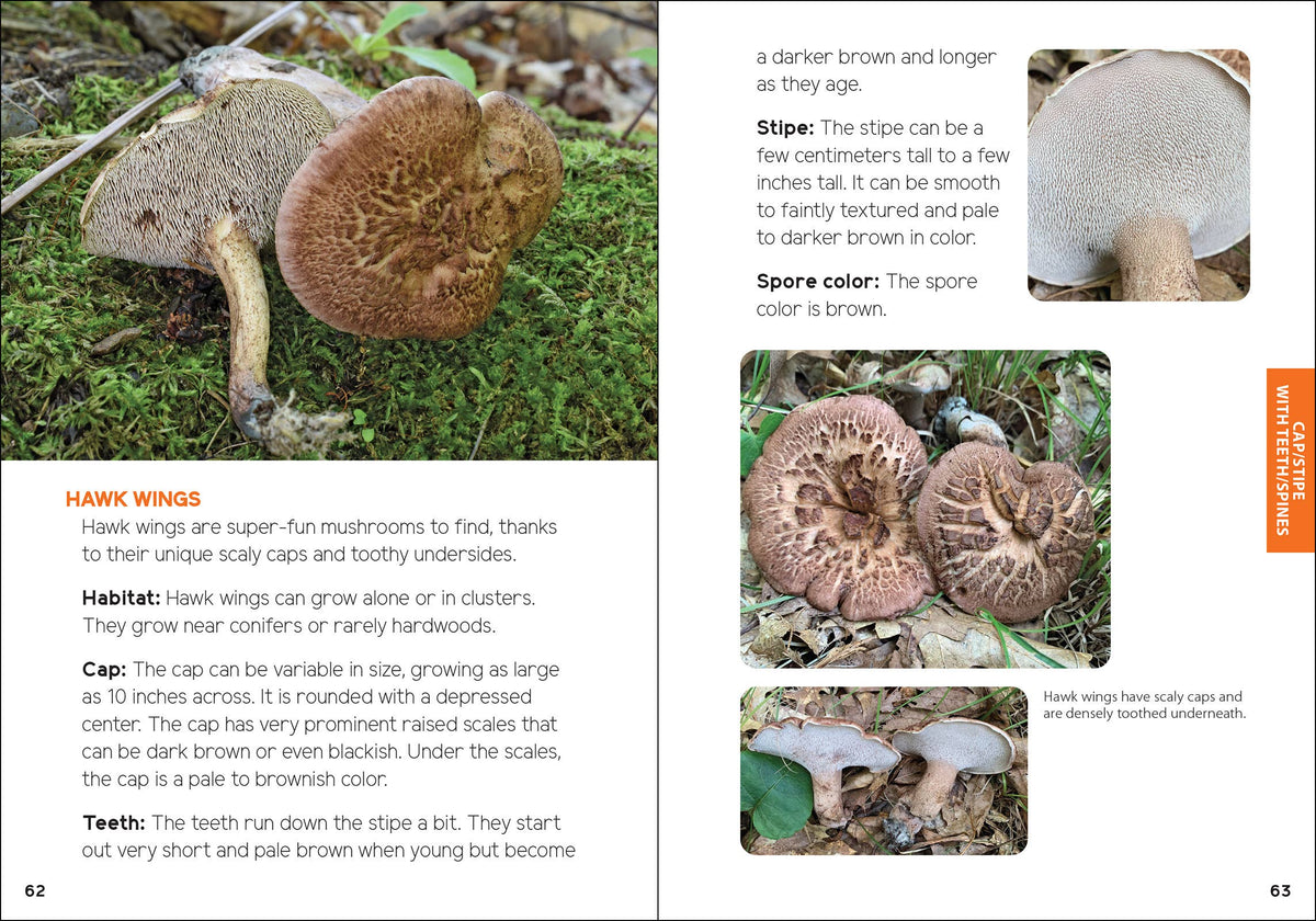 Mushrooms & Fungi for Kids