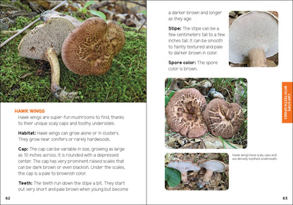 Mushrooms & Fungi for Kids