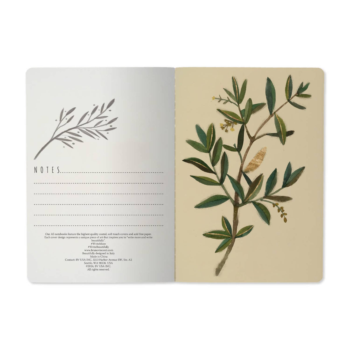Olive Notebook