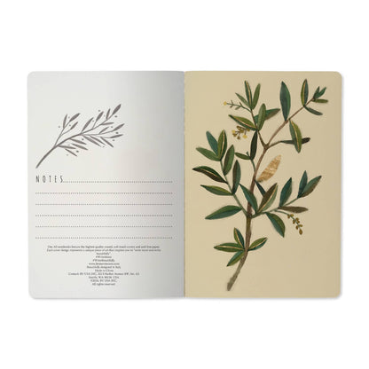 Olive Notebook