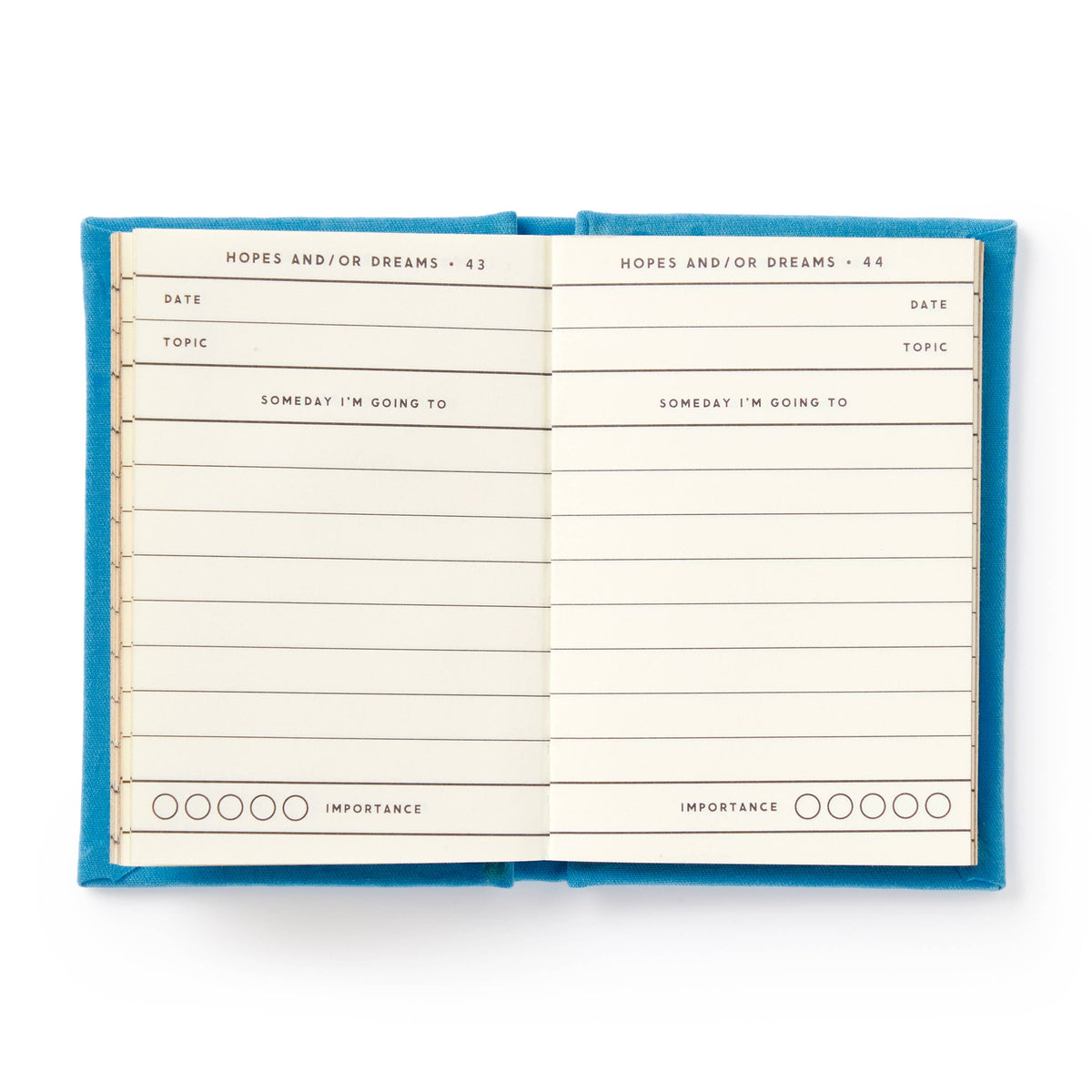 Tiny Hopes And Dreams Tiny Diary