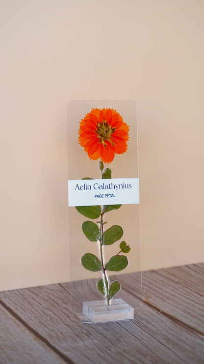 Aelin Galathynius Bookmark