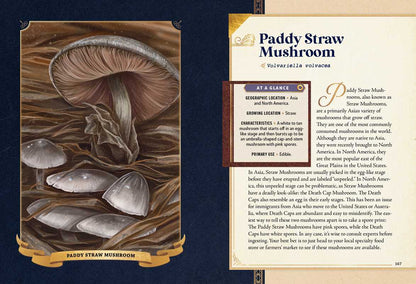 Little Book of Mushrooms by Alex Dorr