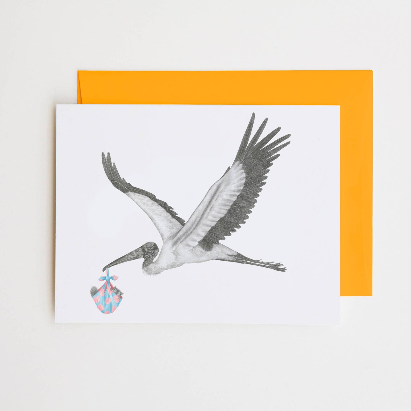 Llewellyn Caradoc Wood Stork (& Joe Buick) Note Card